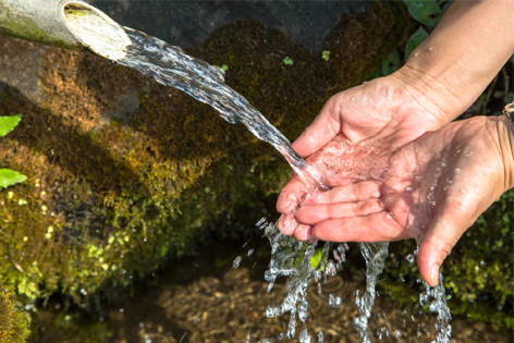 『達磨山 ―だるまやま―』の名水